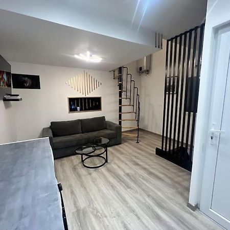 Maison Appartement Triplex Avec Jacuzzi Et Sauna Saint-Etienne  Extérieur photo